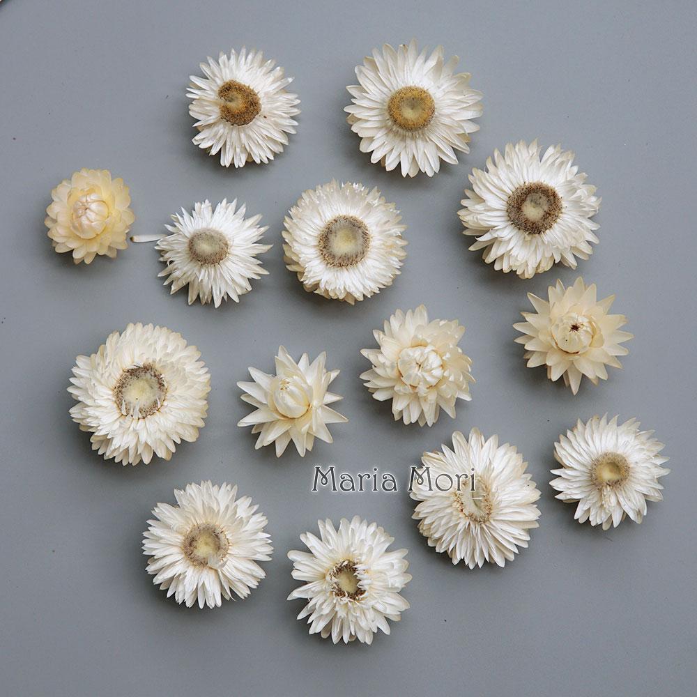Baby Products For 1 Year Old - Natuurlijke Gedroogde Kleurrijke Chrysanthemum Krans Handgemaakte